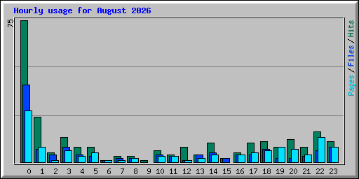 Hourly usage for August 2026